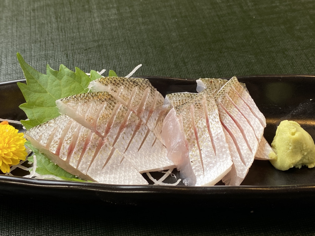 カマス　炙り　刺身